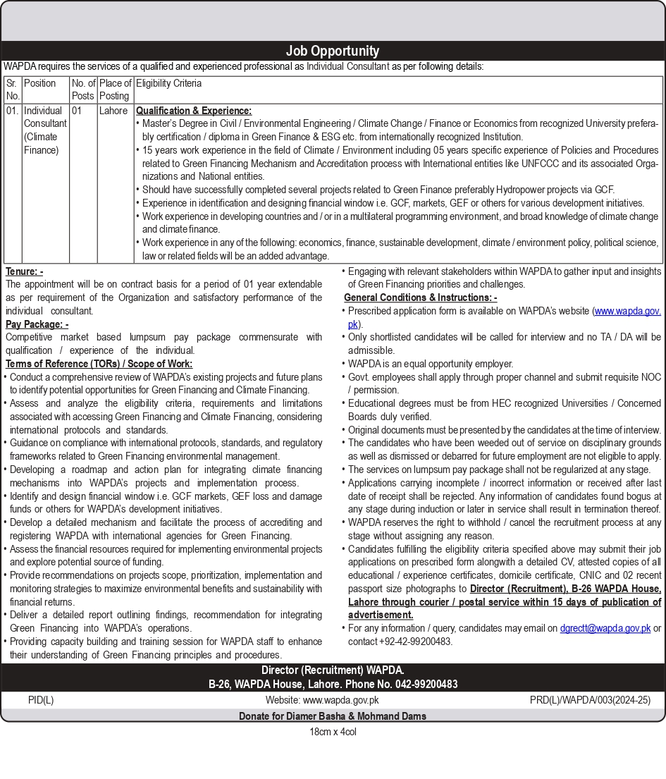 Individual Consultant (Climate Finance) Job Opportunity in WAPDA 2024